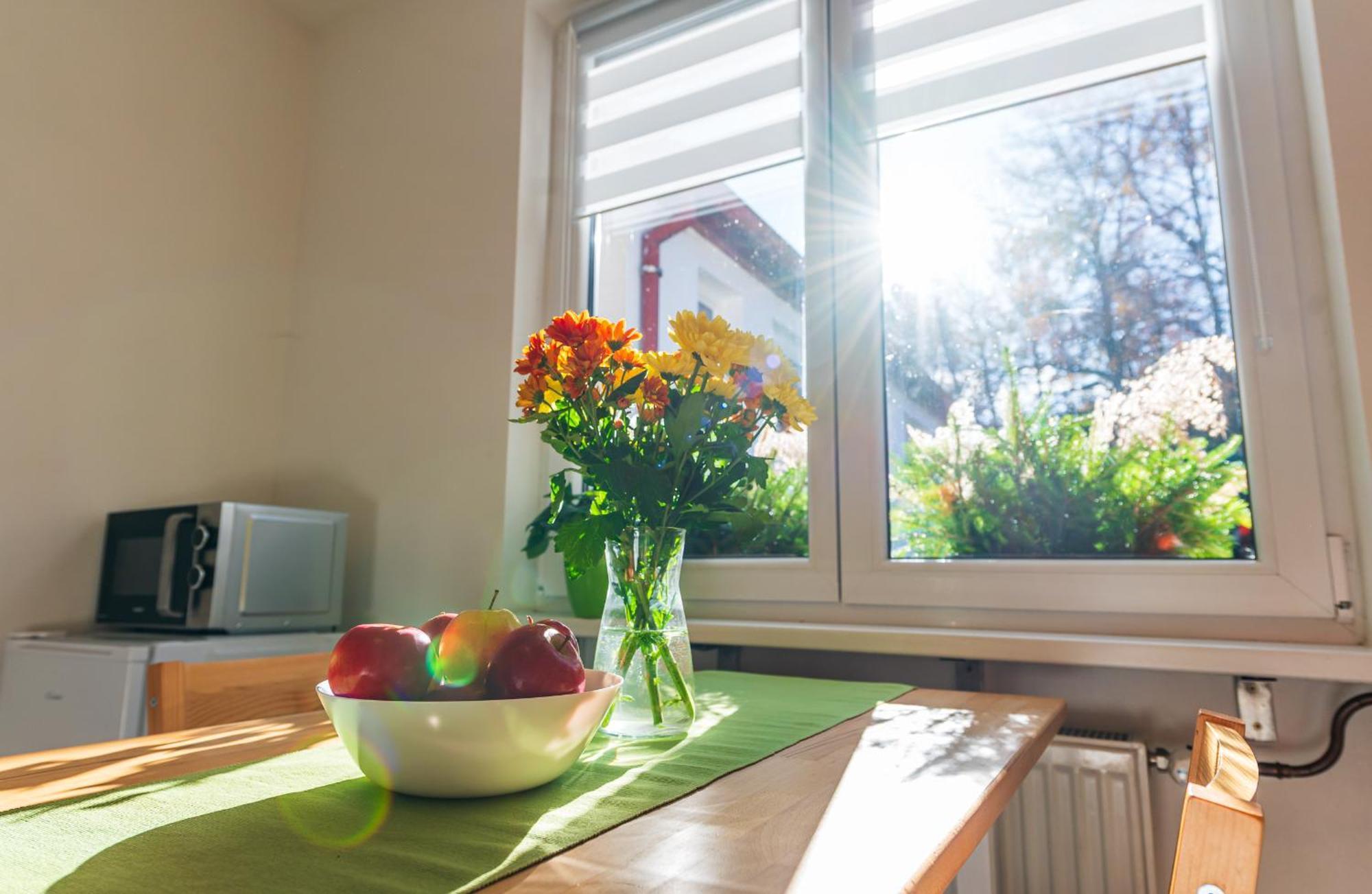 Ubytovani Na Samote - Apartman U Tesaru Komarice Zewnętrze zdjęcie
